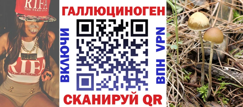 Псилоцибиновые грибы Psilocybe  купить наркотик  Переславль-Залесский 
